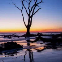 جویای کار حراست و رانندگی لیفتراک