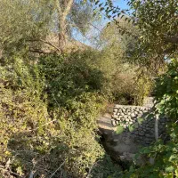 باغ و زمین ویلایی دلفارد