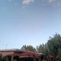نیروی کار در کافه رستوران