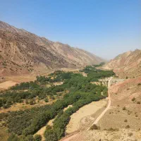 گردو میانکوه سنقز|خوردنی و آشامیدنی|درگز, |دیوار