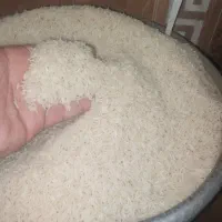 برنج هاشمی و طارم شمال/ارسال رایگان+ضمانت کیفیت|خوردنی و آشامیدنی|تهران, اتابک|دیوار
