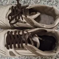 کفش|کیف، کفش، کمربند|بیرجند, |دیوار