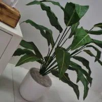 گل برگ عبایی مصنوعی|گل مصنوعی|مشهد, شیرودی|دیوار