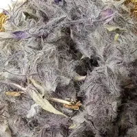 چای کوهی پرخاصیت ودم نوشی  برای این فصل