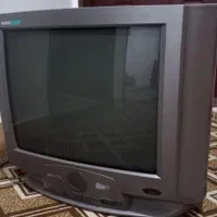 تلویزیون