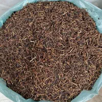 چای چوبی مرغوب