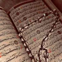 پ ی ش گ و یی،دقیق
