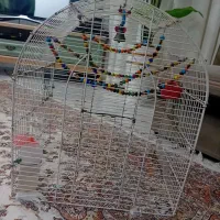 قفس بزرگ تمیز