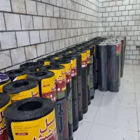 پخش ایزگام مقدم سربندر