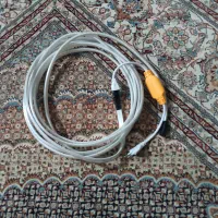 ریسه رنگ سفید