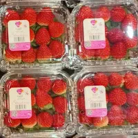 استخدام آتاپخش ویرا