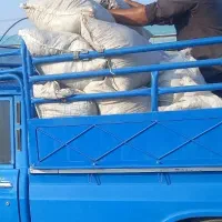 خریدار ضایعات خرما