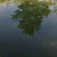 سرایدار|استخدام سرایداری و نظافت|تولم شهر, |دیوار