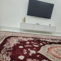 قالی|فرش|جم, |دیوار