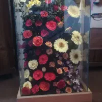 چراغ خواب گل خشک