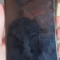 سامسونگ A25 G5|موبایل|تبریز, |دیوار