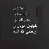 مدارک گم شده به نام نارویی جوان