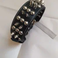 قلاده و پلاک شناسایی سگ وگربه|لوازم جانبی حیوانات|شیراز, ملاصدرا|دیوار