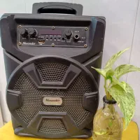 اسپیکر بلوتوثی اصلی مکسیدر maxedeer ( کارکرده )