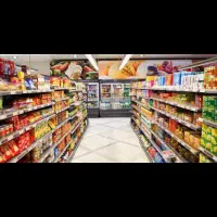 نیروی کار در هولدینگ مواد غذایی