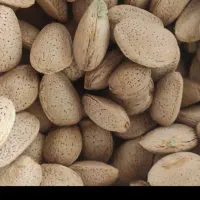 فروش بادام امسالی درهم