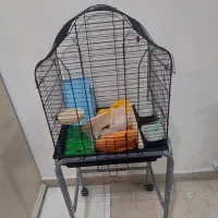 قفس پرنده (عروس هلندی)