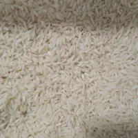 برنج محلی (چغلوندی)کشت سال ۱۴۰۵(کیلویی ۴۵۰)