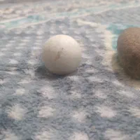 سنگ پادزهر خیلی قدیمی و سنگ آسیاب