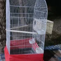 قفس پرنده