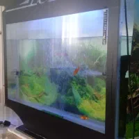 فروش آکواریوم با لوازم