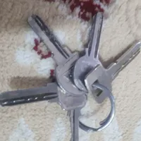 پیداشده
