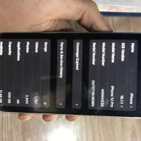 ایفون ۱۲ پرو ۲۵۶ گیگ ریجستر شده|موبایل|بوکان, |دیوار