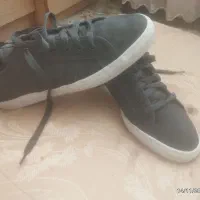 پوما ونیوبالانس و ادیداس|کیف، کفش، کمربند|مشهد, هفت تیر (نه دره)|دیوار