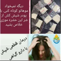 پودر شپش