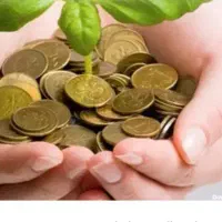 ضامن در ضامن برای وام (ضمانت ضربدری )