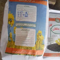 بذر کلزا رقم دلگان