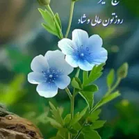 دنبال ضامن برای بانک صادرات هستم