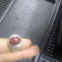 قیمت هم مقطوع