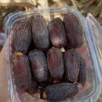خرما مج.ول درجه ۱ درشت شهرستان جم|خوردنی و آشامیدنی|رشت, دیلمان|دیوار