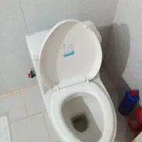 توالت فرنگی درحد زیر قیمت فوری