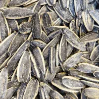 تخمه آفتابگردان لوکس