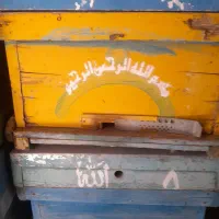 کندو زنبور