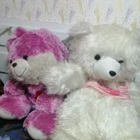 اروسک خرسی دو عدد مارک