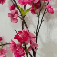 گلدان و گل خارجی|گل مصنوعی|ری, جوانمرد قصاب|دیوار