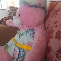 خرس عروسکی|اسباب‌بازی بچه|چناران, |دیوار