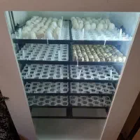 دستگاه جوجه کشی هدایت