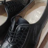 فروش کفش چرم|کیف، کفش، کمربند|پرند, فاز ۶|دیوار