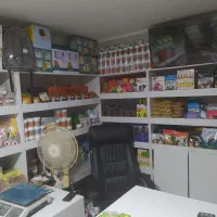 فروش انواع پرنده و ملزومات طوطی در مهرگان|پرنده|محمدیه-قزوین, |دیوار