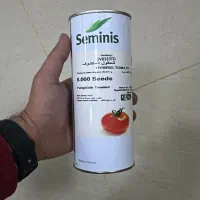 فروش وتامین بذر فلفل دلمه ای وغیره|خدمات باغبانی و درختکاری|شاهینشهر, حافظ جنوبی|دیوار