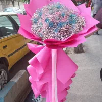 دسته گل ژیپسوفیلا عروس هلندی|گل و گیاه طبیعی|تهران, شهرک آزادی|دیوار